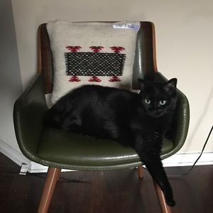 Meet your Posher, Shelby